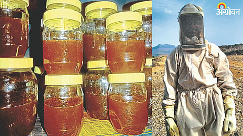 Beekeeping