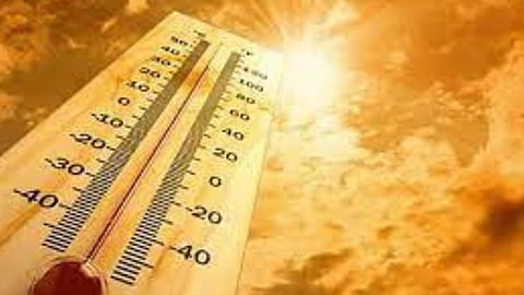 Weather News 