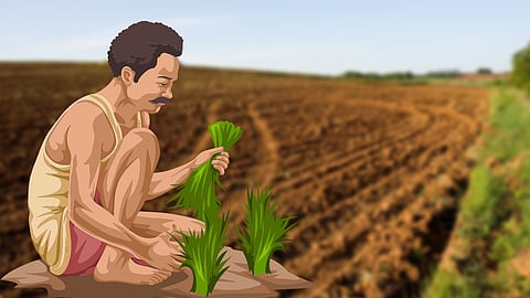 Agriculture Land Dispute