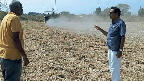 Fertilizer