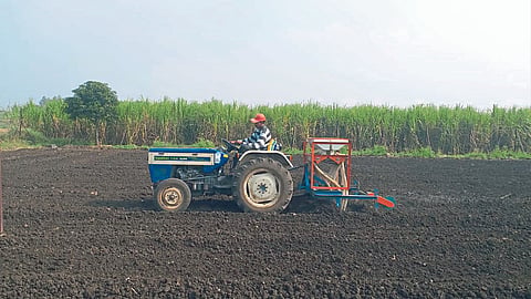 Onion Planter