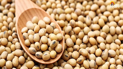Soybean Market