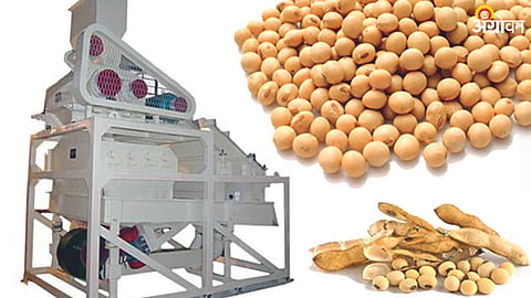 Food Processing