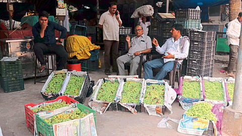 Fruit Market 