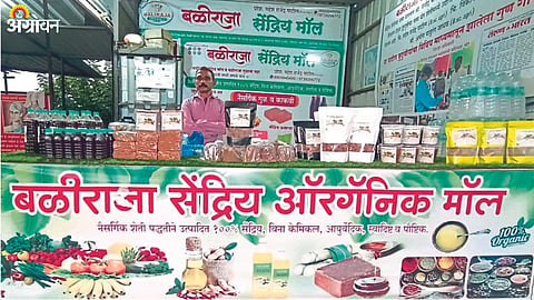 Organic Jaggery Production