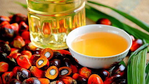 Palm Oil