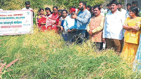 Natural Farming