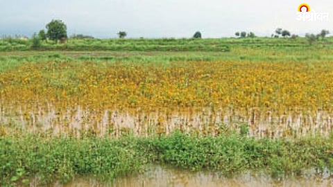 Crop Insurance