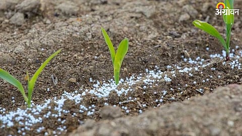 Fertilizer Uses