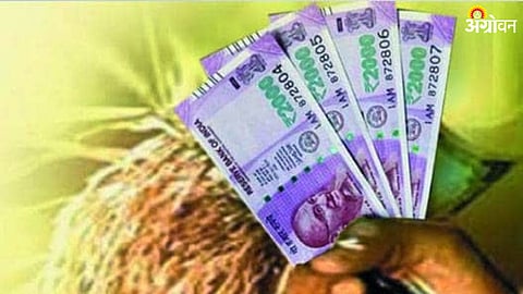Crop Loan
