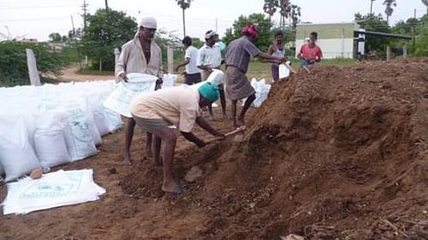 Organic Farming