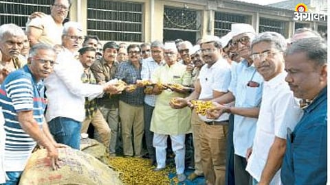 Turmeric Market