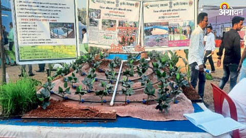 Agricultural Festival