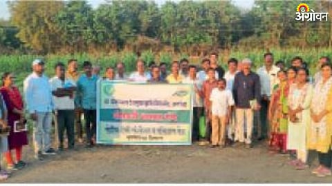 Organic Farming
