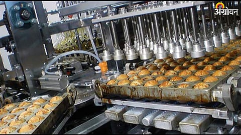 Food Processing