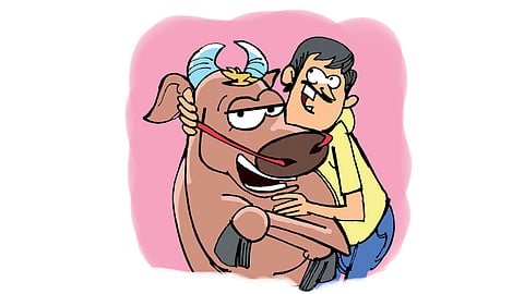 Cow Hug day