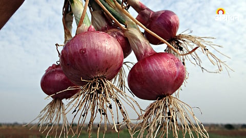 Onion Rate