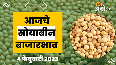 Soybean Rate