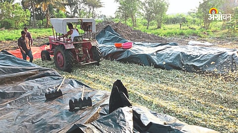 Silage Making