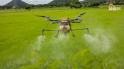  Drone Spraying