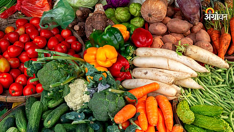 Vegetable
