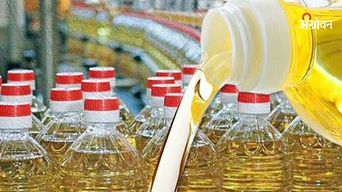 Edible Oil