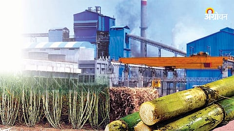 Sugarcane Crushing