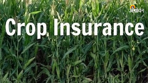 Crop Insurance