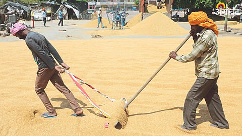 Agriculture Policy