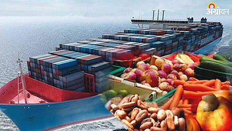 FPO Export