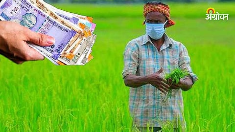Subsidy 
