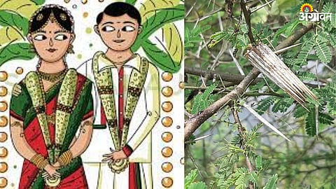 Kalpana Dudhal 