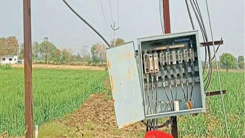 Agriculture Electricity