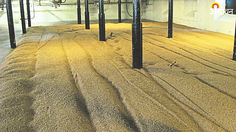 Food Processing