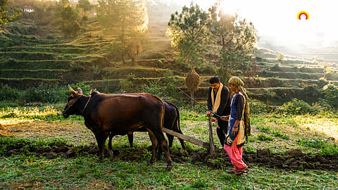 Indian Agriculture