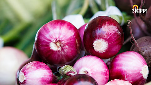 Onion Rate