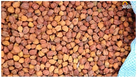Chana Market 