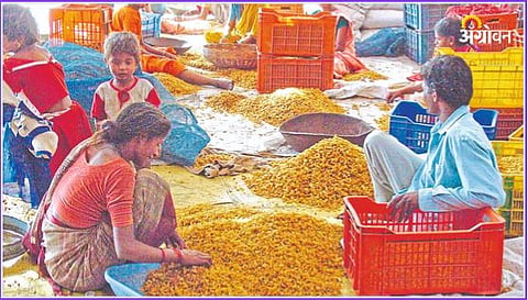 Bedana Market 