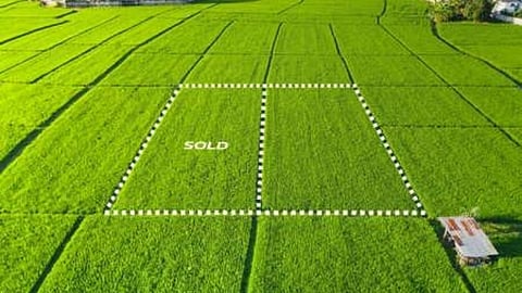 E Land Survey