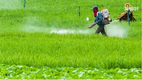 Pesticides Uses