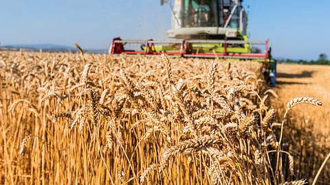 Crop Advisory