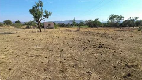 Rural Story 