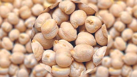 Kabuli Chana 