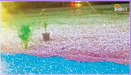 Crop Damage