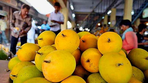 Hapus Mango