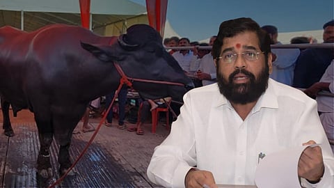 Mah Pashudhan Expo 2023 