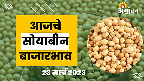 Soybean Rate