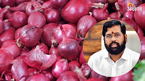 Onion Rate