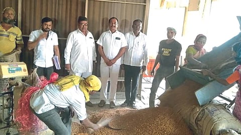 Chana Procurement 