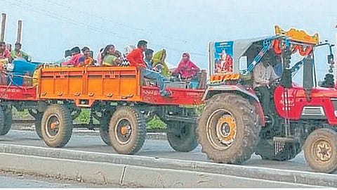 Sugarcane Season